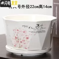 三维工匠花盆陶瓷创意个性两个大号特大号带托盘家用绿萝多肉花盆 明黄色菱红树一个特大 大花盆容器
