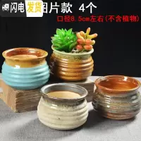三维工匠多肉简约陶瓷绿植塑料创意紫砂复古粗陶多肉植物小花盆批发 W007图上4个 小花盆容器
