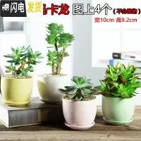 三维工匠多肉简约陶瓷绿植塑料创意紫砂复古粗陶多肉植物小花盆批发 带托盘马卡龙图上4个 小花盆容器