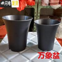 三维工匠万象盆大棚多肉植物12卷玉露老桩花盆黑色磨砂高腰盆加厚塑料 圆万象盆小号12个 小花盆容器