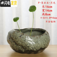 三维工匠水仙花盆铜钱水培花盆水养仿石头盆景碗莲睡莲个性创意陶瓷无孔 墨绿色F-复古石-月光 大花盆容器