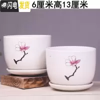 三维工匠花盆陶瓷大号带托盘个性简约创意家用吊兰绿萝多肉陶瓷花 16-一枝梅两个大号 大花盆容器