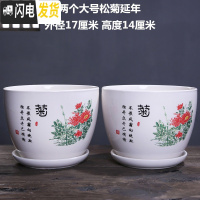 三维工匠花盆陶瓷大号特大号带托盘绿萝吊兰塑料家用创意多肉花盆 两个大号松菊延年 大花盆容器