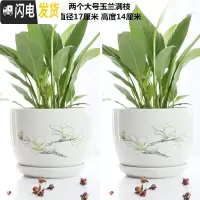 三维工匠花盆陶瓷大号特大号带托盘绿萝吊兰塑料家用创意多肉花盆 两个大号玉兰满枝 大花盆容器