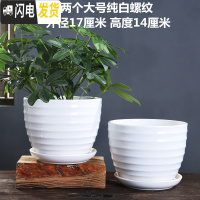 三维工匠花盆陶瓷大号特大号带托盘绿萝吊兰塑料家用创意多肉花盆 两个大号纯白螺纹 大花盆容器