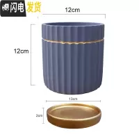 三维工匠马卡龙金边水泥花盆ins北欧风格多肉玫瑰花绿萝绿植圆柱体条纹盆 紫色条纹紫12cm配金盘 中等花盆容器