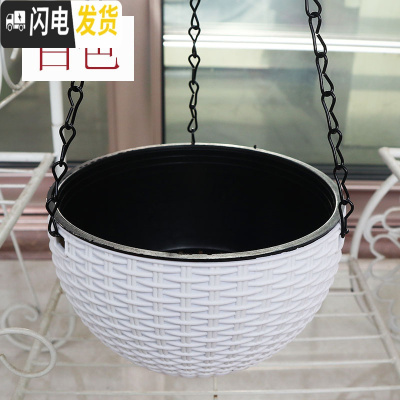 三维工匠吊兰绿萝花盆花盆悬挂盆室内垂吊垂挂吊盆式吊着的塑料吊篮花盆 白色[送链子+定植篮] 小号(直径16.5c花盆容器