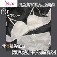 [小胸聚拢]无钢圈文胸罩蕾丝内衣女文胸初高中学生 SZG 文胸套装 FISH BASKET