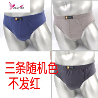 六条三条青年三角内裤棉中腰中年男棉内裤大码宽松短裤头 FISH BASKET