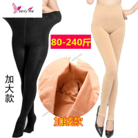 加肥加大码薄绒加绒打底裤女外穿胖mm加厚200斤 FISH BASKET丝袜/打底袜/袜丝袜