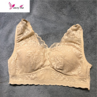 欧洲站新款大胸抹胸无钢圈蕾丝花边透气薄杯健康养生舒适美背文胸 FISH BASKET胸罩
