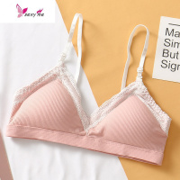 夏季内衣女无钢圈高中学生小胸聚拢女文胸薄款显小胸罩 文胸套装 FISH BASKET