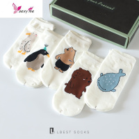 礼盒袜子夏季女棉船袜日系可爱小熊卡通动物浅口白短袜个性薄 FISH BASKET袜子