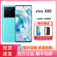 vivo X80 12GB+256GB 假日 蔡司专业影像 天玑9000旗舰芯片 双电芯80W闪充 全新5G智能拍照全网通手机