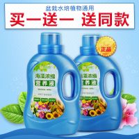 德沃多植物营养液通用型花肥料盆栽土水培绿萝多肉花卉液体有机肥