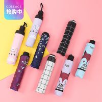 雨伞女学生韩版布朗熊龙猫卡通小清新黑胶晴雨两用三折防晒伞
