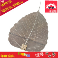 菩提叶片茶漏 创意禅意功夫茶具滤配件 纯天然树叶茶滤 3片装