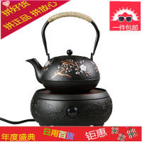 铁壶铸铁泡茶电陶炉煮茶器日式烧水茶壶养生礼品功夫家用茶具套装