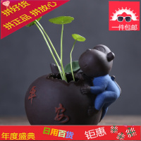 茶宠猪茶桌紫砂茶具陶瓷手工茶艺小盆栽茶道玩摆件精品可养