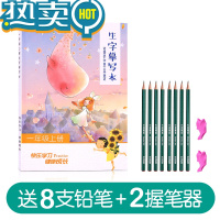 绿彩虹光小学一年级描红本汉字儿童写字贴拼音笔画笔顺练字帖铅笔幼小衔接写字本 一年级上册[114页送8支铅笔人教版课本同步