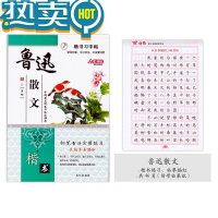 绿彩虹光楷书字帖字体钢笔成年行书临摹字帖手写漂亮大学生硬笔书法中小学生正楷入门基础训练练习练字本写字 楷书[鲁迅散文]