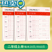 绿彩虹光楷书小学生语文同步字帖写字课课练一二三年级下册练字帖小学生专用每日一练拼音笔画笔顺控笔训练字帖硬笔书法练字本 二