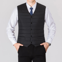 NEW LAKE秋冬西装马甲男商务休闲夹克背心大码新款中年羽绒棉保暖坎肩修身夹克