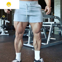 FISH BASKET美式运动三分五分裤时尚肌肉男沙滩裤休闲跑步健身深蹲短裤训练棉