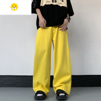 FISH BASKET2024新款牛仔裤男季薄款宽松阔腿裤子情侣美式潮牌拖地直筒长裤