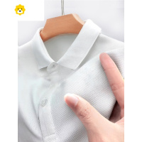 FISH BASKET丝光棉高端翻领纯色POLO衫短袖t恤男士季2022新款有领带领冰丝
