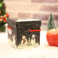 圣诞节新款绿色红色礼盒苹果果包装盒小礼品装饰纸盒平安夜礼物盒