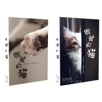 做我的猫 30张可爱粘人的小猫咪明信片 萌宠动物文艺生日贺卡包邮
