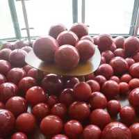 宝石红气球婚房装饰生日派对布置酒店铺商场超市促销国庆装扮气氛
