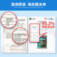 澳洲PureAir进口空气净化剂吸甲醛清除剂家用型新房新车祛除异味