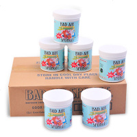 美国空气净化剂进口除甲醛清除剂异味新车新房装修