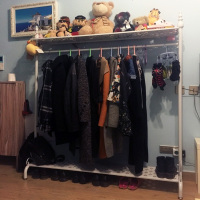 欧式简易衣架厅衣帽架落地 居家卧室挂衣架衣服架子服装架