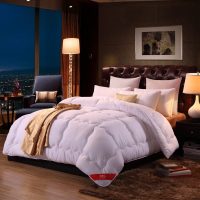 加厚保暖被子冬被宿舍单人学生春秋棉被芯空调被褥四季通用 200X230cm 双人春秋被(5斤)