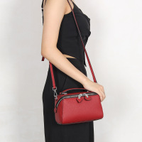 知壹头层牛皮 牛皮包包女2018新款软波士顿女包斜挎包枕头包迷你小包