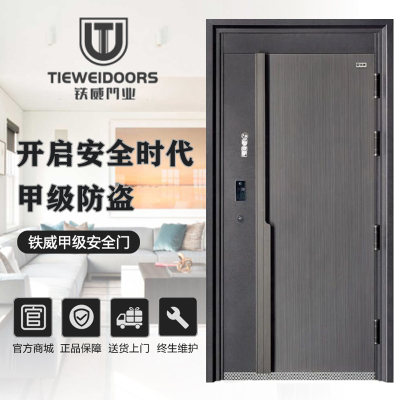 TIEWEI铁威门业-TW-奢雅甲级家用大门智能防盗门钢质安全门别墅门