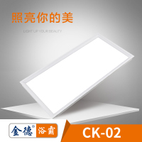 金德-照明CK-02集成 吊顶LED平板灯电器卫生间嵌入式300*600多LED平板灯照明灯浴霸