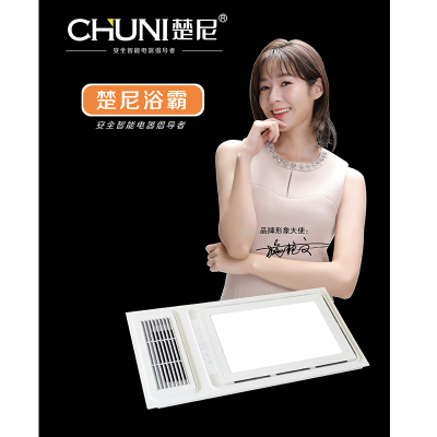 楚尼(CHUNI)T600-113集成吊顶浴霸卫生间嵌入式300*600多功能风暖浴霸换气取暖照明
