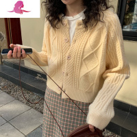 艳如飞麻花毛衣女宽松外穿春秋季韩版慵懒百搭针织开衫短款外套上衣加厚T恤