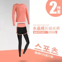 艳如飞春秋季运动套装女休闲跑步瑜伽服速干衣服健身锻炼长袖长裤两件套休闲运动套装