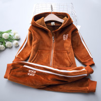 艳如飞女宝宝加厚金丝绒套装春秋装2020新款儿童运动两件套女童洋气衣服套装