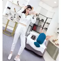 艳如飞网红休闲运动套装早秋气质御姐高腰小脚裤女衣服时髦洋气两件套休闲运动套装