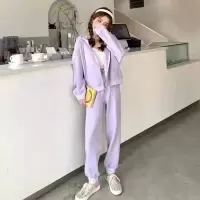 艳如飞宽松显瘦运动套装女春秋韩版学生大码时尚棉卫衣休闲两件套洋气休闲运动套装