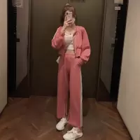 艳如飞韩版时尚运动套装女春秋学生宽松显瘦卫衣网红休闲两件套跑步服潮休闲运动套装