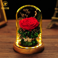 康乃馨永生花玻璃罩礼盒苔藓小熊玫瑰干花束520情人节母亲节