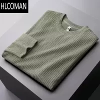 HLCOMAN轻奢柔软细腻长袖t恤男士肌理打底衫上衣2024秋季休闲薄款卫衣男