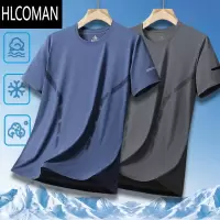 HLCOMAN冰丝t恤男士短袖2024新款夏季运动速干透气半袖男体恤宽松上衣服